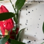 Preview: Cake Pin - Hook